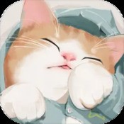 猫灵相册b服